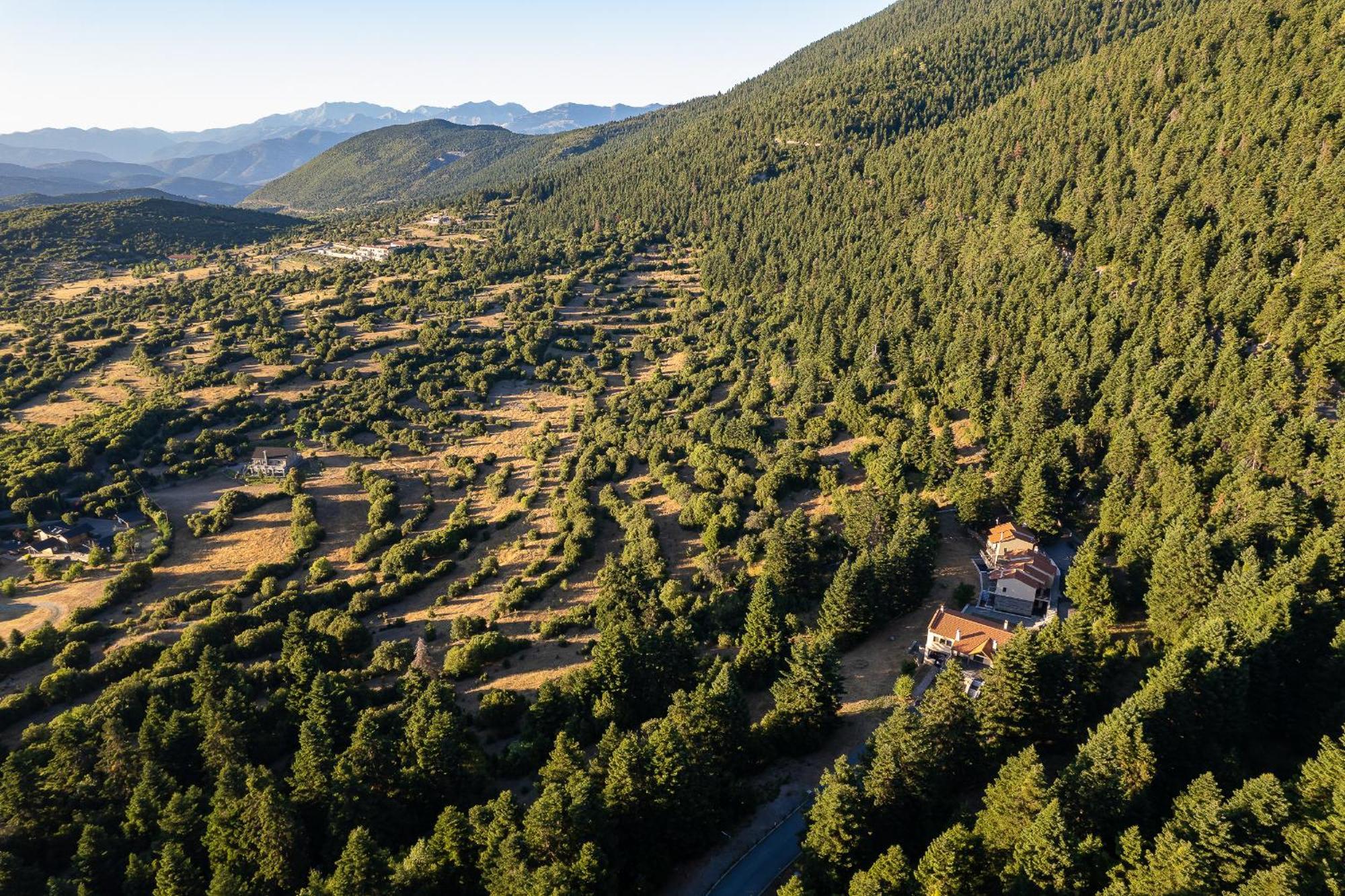 Natura Hotel Βυτίνα Εξωτερικό φωτογραφία