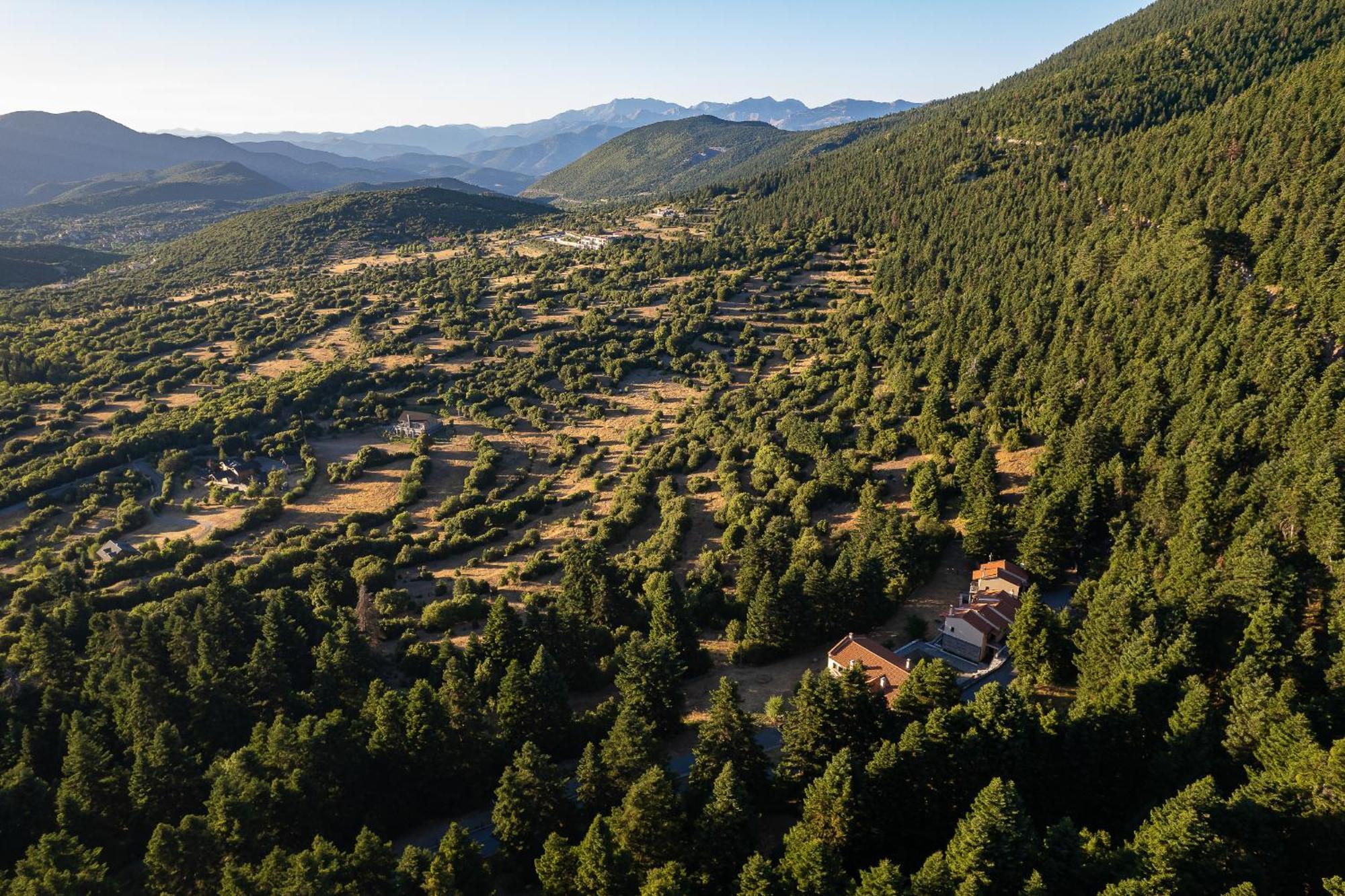 Natura Hotel Βυτίνα Εξωτερικό φωτογραφία