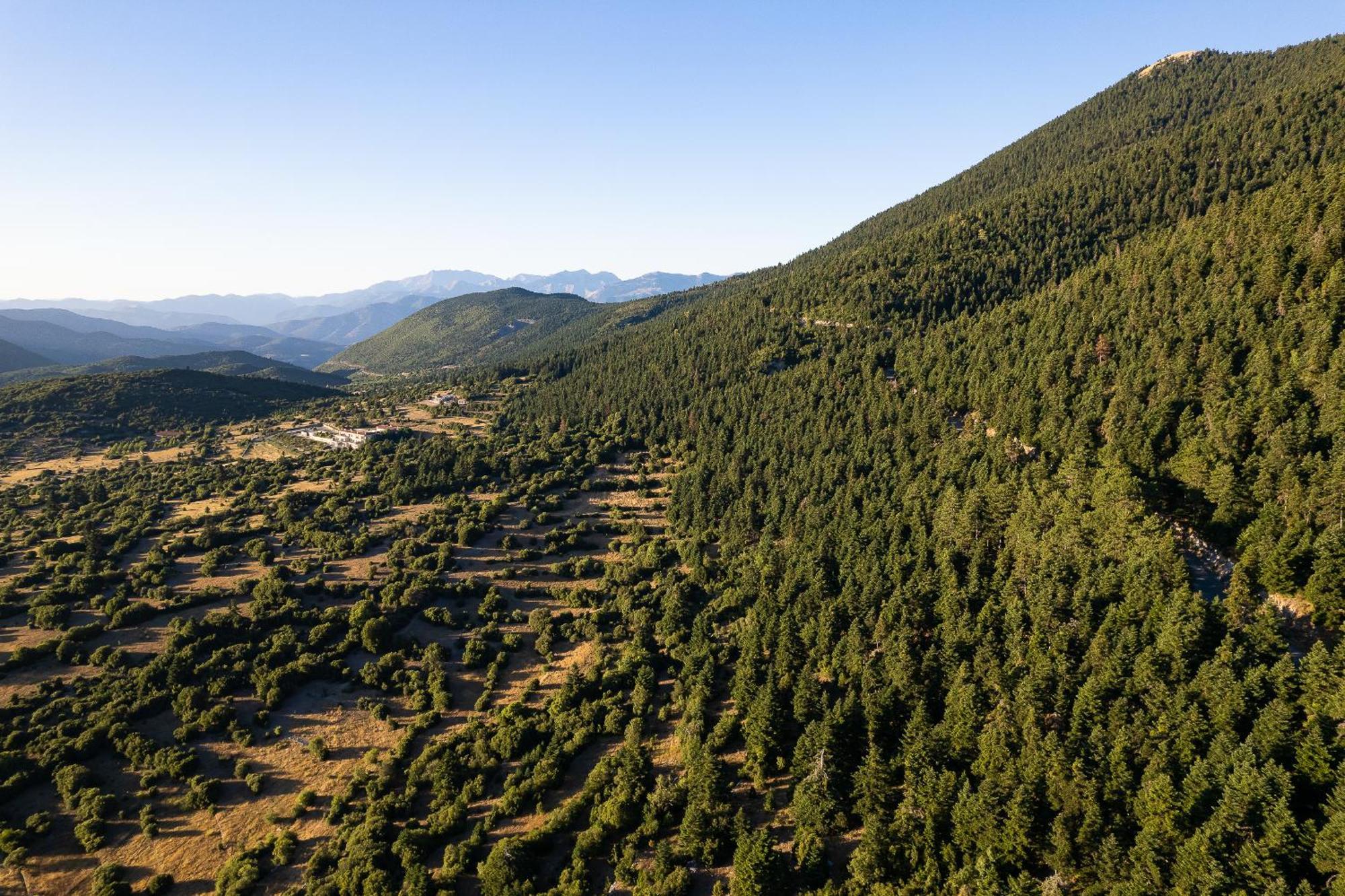 Natura Hotel Βυτίνα Εξωτερικό φωτογραφία